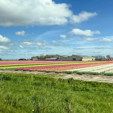 Dom wakacyjny 3 Bedroom Stunning In Westerland